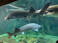 -华夏文旅海洋公园