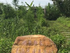 -芒洲湿地公园