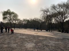 -洛阳市隋唐城遗址植物园