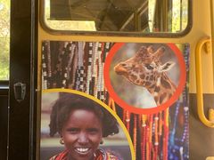 -威勒比开放式动物园