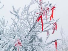 -南岳衡山风景名胜区-南岳大庙