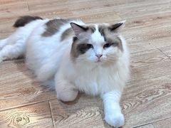 -白兔子密室(长寿路店)