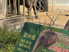 -合肥野生动物园