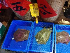 -帝一铭家宴(板塘店)