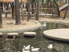 -南戴河国际娱乐中心