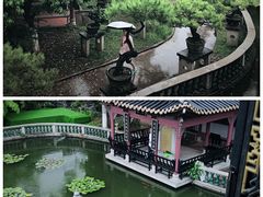 -碧江金楼