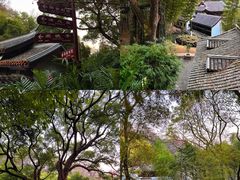 -岳麓山风景名胜区