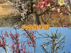 -六合国家地质公园桂子山景区