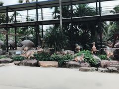 -东芭乐园