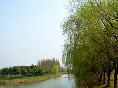 -南湖湿地公园