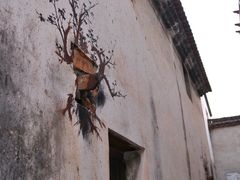 -东梓关景区村庄