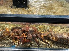 -盒马鲜生(曜一城店)