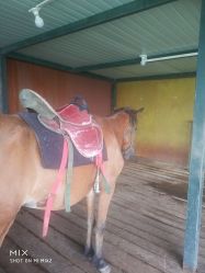 -小蜜蜂农场(凯德七宝购物广场店)