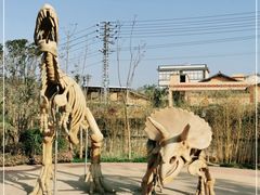 -世界恐龙谷景区