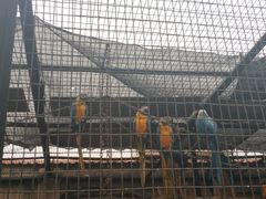 -石家庄市动物园