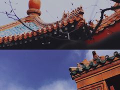 -故宫博物院(故宫)