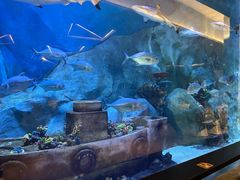 -渔火·特色餐厅(佘山世茂洲际酒店)