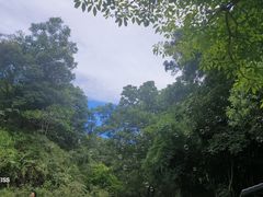 -红花湖景区