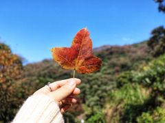 -广州市石门国家森林公园