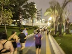 -白鹭洲公园