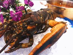 -半岛听涛蒸汽海鲜自助(K11店)