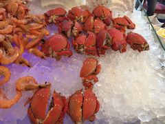 希尔顿视界美食自助餐厅-视界美食自助餐厅·石家庄希尔顿酒店