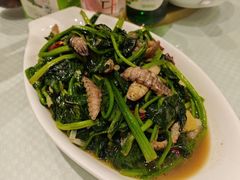 -双井轩(双井店)