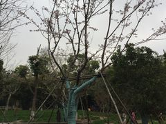 -堤角公园