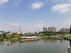 -王借岗森林公园