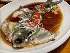 -丹江渔村(望京店)