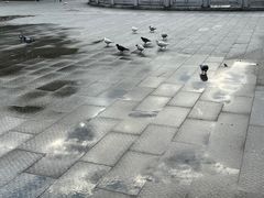 -六祖寺