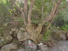 -孤山寨风景区