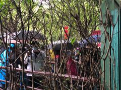 -韶山毛泽东同志故居