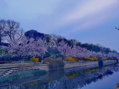 -海棠花溪(元大都城垣遗址公园)