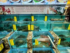 -有腥气私房菜·寻味顺德