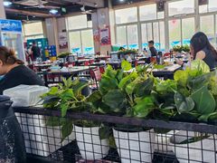 -皖北巫氏三胖地锅鸡(长淮总店)