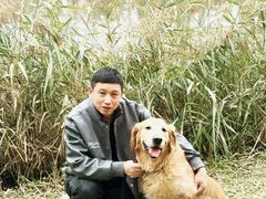 -白鹭湾湿地公园