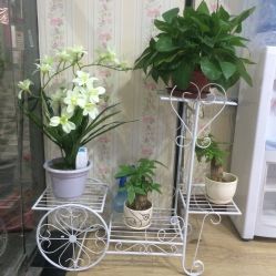 -倾城妃姿美疗中心