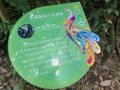 -西双版纳原始森林公园