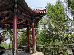 -黄村公园