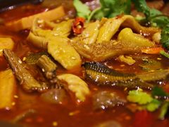 全家旺-马旺子酒楼