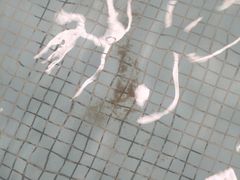 -南宫温泉水世界