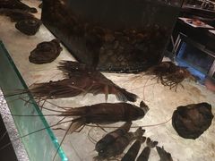 -Ministry of Crab(科伦坡店)