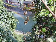 -龙门水都景区