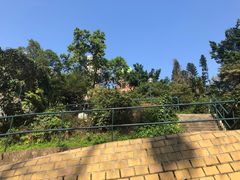 -讯号山花园