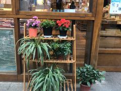 -猫的天空之城概念书店(杭州南宋御街店)