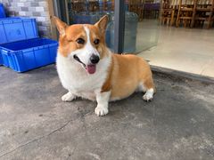 -鹿福农庄(南沙天后宫店)