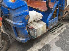 -江杨农产品批发市场