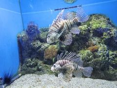 -大连老虎滩海洋公园