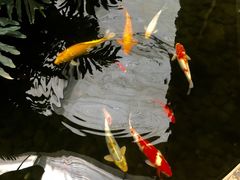 -汤山翠谷生态餐厅